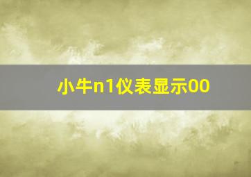 小牛n1仪表显示00