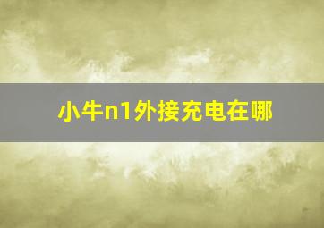 小牛n1外接充电在哪