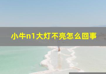 小牛n1大灯不亮怎么回事