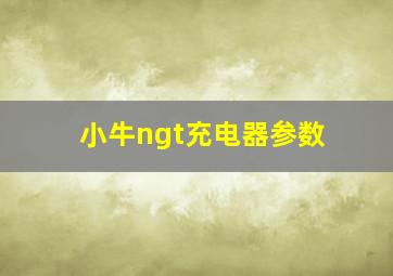 小牛ngt充电器参数