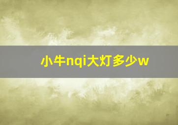 小牛nqi大灯多少w