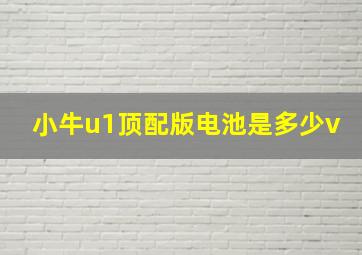 小牛u1顶配版电池是多少v