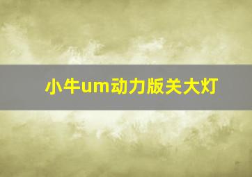 小牛um动力版关大灯