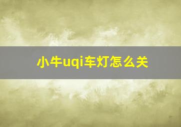 小牛uqi车灯怎么关