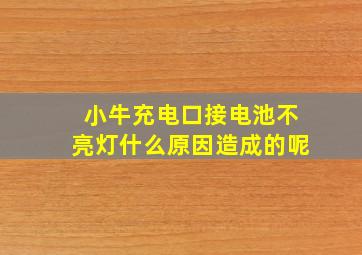 小牛充电口接电池不亮灯什么原因造成的呢