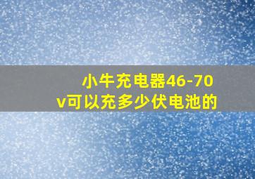 小牛充电器46-70v可以充多少伏电池的