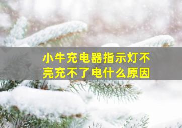 小牛充电器指示灯不亮充不了电什么原因