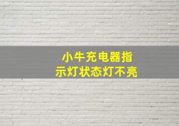 小牛充电器指示灯状态灯不亮