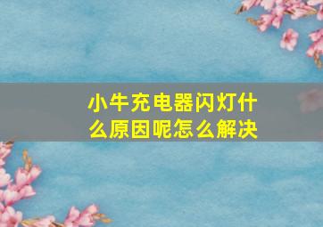 小牛充电器闪灯什么原因呢怎么解决