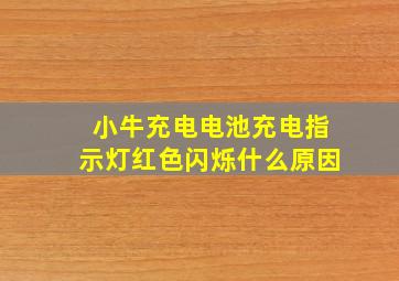 小牛充电电池充电指示灯红色闪烁什么原因