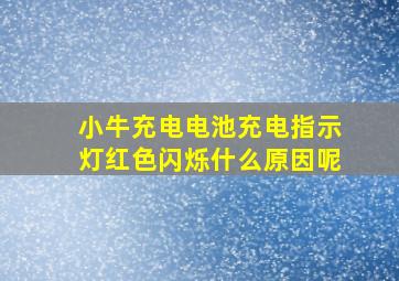 小牛充电电池充电指示灯红色闪烁什么原因呢