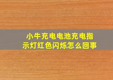 小牛充电电池充电指示灯红色闪烁怎么回事