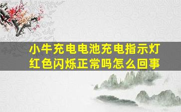 小牛充电电池充电指示灯红色闪烁正常吗怎么回事