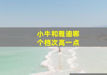 小牛和雅迪哪个档次高一点