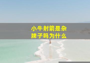 小牛射箭是杂牌子吗为什么