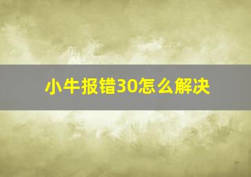 小牛报错30怎么解决