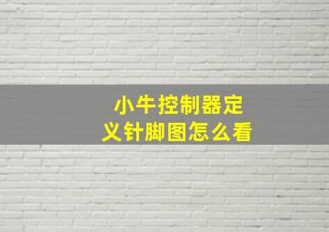 小牛控制器定义针脚图怎么看