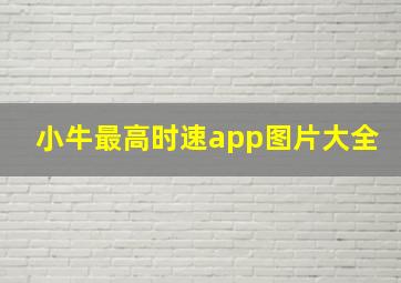 小牛最高时速app图片大全