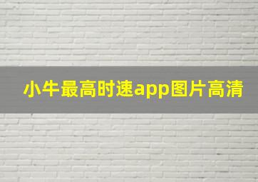 小牛最高时速app图片高清