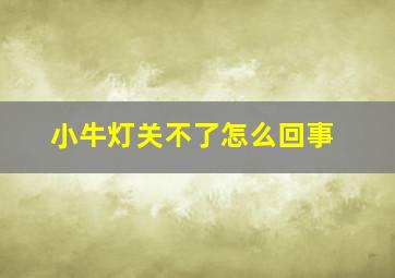 小牛灯关不了怎么回事