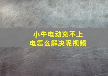 小牛电动充不上电怎么解决呢视频