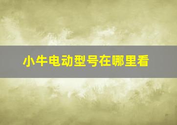 小牛电动型号在哪里看