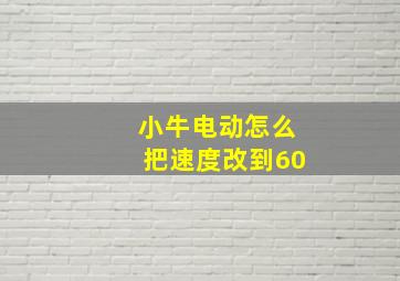 小牛电动怎么把速度改到60