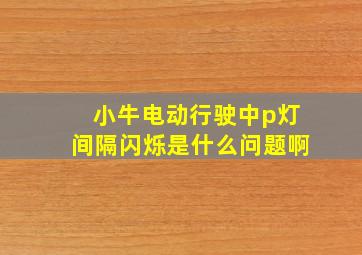 小牛电动行驶中p灯间隔闪烁是什么问题啊