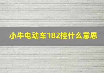 小牛电动车182控什么意思