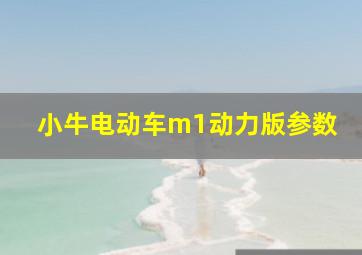 小牛电动车m1动力版参数