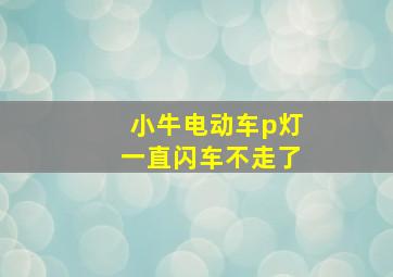 小牛电动车p灯一直闪车不走了