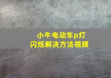 小牛电动车p灯闪烁解决方法视频