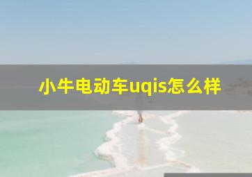 小牛电动车uqis怎么样