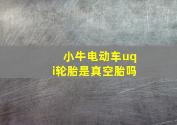 小牛电动车uqi轮胎是真空胎吗