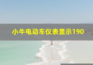 小牛电动车仪表显示190