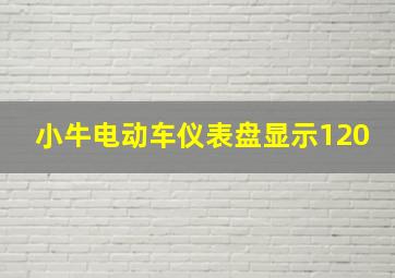 小牛电动车仪表盘显示120