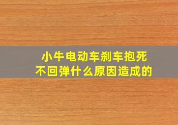 小牛电动车刹车抱死不回弹什么原因造成的