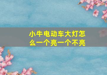 小牛电动车大灯怎么一个亮一个不亮