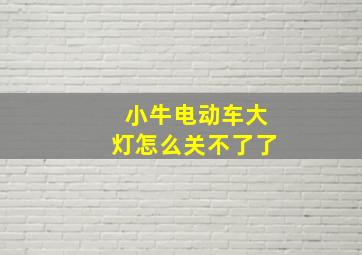 小牛电动车大灯怎么关不了了