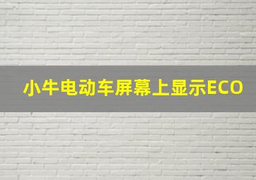 小牛电动车屏幕上显示ECO