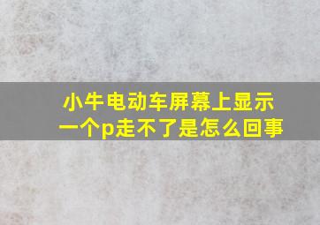 小牛电动车屏幕上显示一个p走不了是怎么回事