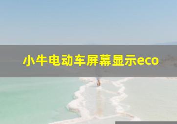 小牛电动车屏幕显示eco