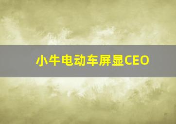 小牛电动车屏显CEO