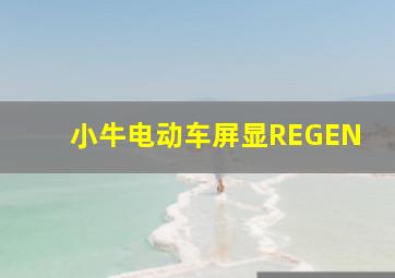 小牛电动车屏显REGEN