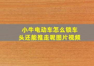 小牛电动车怎么锁车头还能推走呢图片视频