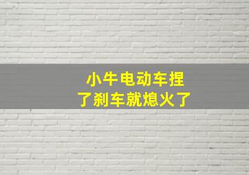 小牛电动车捏了刹车就熄火了