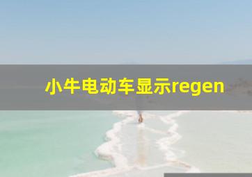 小牛电动车显示regen