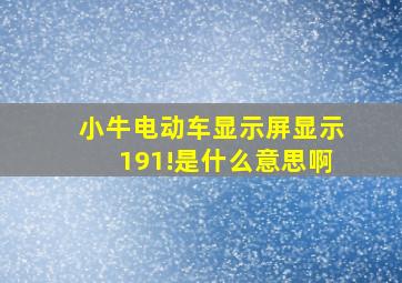 小牛电动车显示屏显示191!是什么意思啊