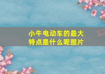 小牛电动车的最大特点是什么呢图片