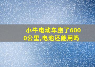 小牛电动车跑了6000公里,电池还能用吗